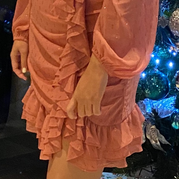 Express Pink and Gold Ruched Dress - Picture 5 of 5